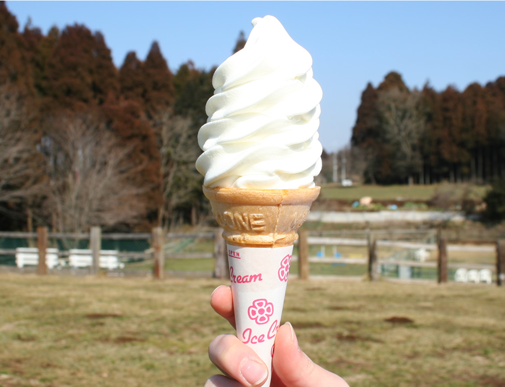 人気NO.1　ソフトクリーム　牧場の搾りたて牛乳の美味しさが凝縮されています